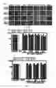 Fig. 07 - Generation of human iPS cells by a synthetic self-replicative RNA