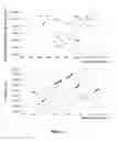 Fig. 08 - Salmon gill poxvirus