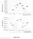 Fig. 09 - Salmon gill poxvirus