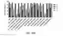 Fig. 22 - Engineered CRISPR-Cas9 nucleases