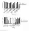 Fig. 25 - Engineered CRISPR-Cas9 nucleases