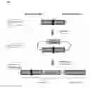 Fig. 04 - Microbial strain improvement by a HTP genomic engineering platform