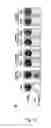 Fig. 02 - PROCESS FOR INDUCING RESISTANCE TO DIPHTHERIA TOXIN IN HUMAN CELLS, PRODUCTS AND USES THEREOF