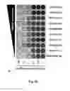 Fig. 09 - PROCESS FOR INDUCING RESISTANCE TO DIPHTHERIA TOXIN IN HUMAN CELLS, PRODUCTS AND USES THEREOF