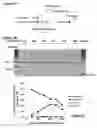 Fig. 03 - Delivery methods and compositions for nuclease-mediated genome engineering