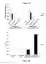 Fig. 09 - Delivery methods and compositions for nuclease-mediated genome engineering