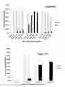 Fig. 10 - Delivery methods and compositions for nuclease-mediated genome engineering