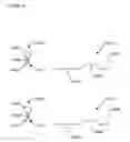 Fig. 20 - Highly selective nucleic acid amplification primers