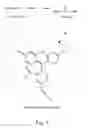 Fig. 02 - Detection of bacteria using bacteriophage