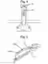 Fig. 04 - HYDRAULIC HINGES WITH AN INTEGRATED SOFT-CLOSURE SYSTEM WITH A REGULATORY BASE AND ADJUSTABLE SCREWS