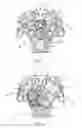 Fig. 04 - Vee engine dual inboard camshaft system