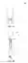 Fig. 09 - Lighting apparatus