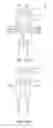 Fig. 36 - Lighting apparatus