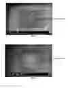 Fig. 07 - Kit, Composition and Method for Preparing a Specimen for Imaging and Method for Diagnosing a Disease