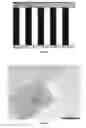 Fig. 09 - Kit, Composition and Method for Preparing a Specimen for Imaging and Method for Diagnosing a Disease