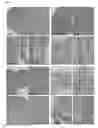 Fig. 07 - METHOD OF PREPARING A FROZEN BIOLOGICAL SAMPLE