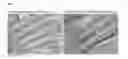 Fig. 09 - METHOD OF PREPARING A FROZEN BIOLOGICAL SAMPLE