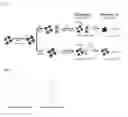 Fig. 02 - Methods for detecting endocrine disruptors using dual modes of colorimetric and fluorometric analysis