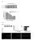 Fig. 03 - Methods for detecting endocrine disruptors using dual modes of colorimetric and fluorometric analysis