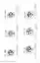 Fig. 25 - High throughput methods of analyzing seed cotton using X-ray imaging