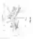 Fig. 08 - Mixed-Potential Electrochemical Sensor