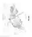 Fig. 09 - Mixed-Potential Electrochemical Sensor