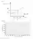 Fig. 06 - Electrophoresis device