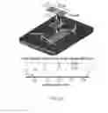 Fig. 41 - Isoelectric focusing arrays and methods of use thereof