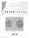 Fig. 22 - Chips, detectors, and methods of making and using the same