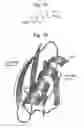 Fig. 02 - NONLINEAR OPTICAL DETECTION OF MOLECULES COMPRISING AN UNNATURAL AMINO ACID POSSESSING A HYPERPOLARIZABILITY