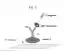 Fig. 06 - NONLINEAR OPTICAL DETECTION OF MOLECULES COMPRISING AN UNNATURAL AMINO ACID POSSESSING A HYPERPOLARIZABILITY