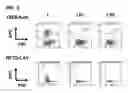 Fig. 15 - REVERSIBLE LABELING OF ANTIGENS IN BIOLOGICAL SPECIMENS