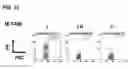 Fig. 18 - REVERSIBLE LABELING OF ANTIGENS IN BIOLOGICAL SPECIMENS