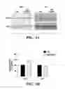 Fig. 07 - Compositions and methods for detecting and/or treating inflammation