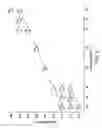 Fig. 04 - API unit calibration of gamma ray logging tools using simulated data