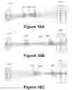 Fig. 11 - High etendue modular zoom lens for machine vision having five lens groups