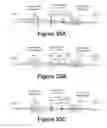 Fig. 18 - High etendue modular zoom lens for machine vision having five lens groups