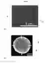 Fig. 02 - Optical detector and filter employing resonant nano-/microparticles