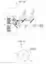 Fig. 27 - Projector including phosphor