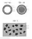 Fig. 02 - Addition-curable liquid silicone rubber mixture, electrophotographic member, method for producing the same, and fixing apparatus