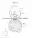 Fig. 04 - Addition-curable liquid silicone rubber mixture, electrophotographic member, method for producing the same, and fixing apparatus