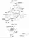 Fig. 109 - Fixing device fixing developing agent image to sheet by electrostatically spraying charged fixing solution