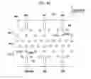 Fig. 39 - Fixing device fixing developing agent image to sheet by electrostatically spraying charged fixing solution