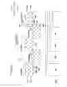 Fig. 49 - Fixing device fixing developing agent image to sheet by electrostatically spraying charged fixing solution