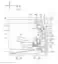Fig. 01 - Image forming device including sheet conveying portion