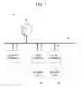 Fig. 02 - Information management system, server, information management method, and storage medium