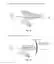 Fig. 19 - Gaze tracking apparatus