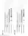 Fig. 07 - Determining ejection order of recording sheets based on predicted rasterization time