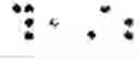 Fig. 22 - Internet-enabled audio-visual graphing calculator