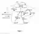 Fig. 06 - Automated comprehension of natural language via constraint-based processing